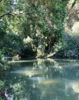 Villa Sierra de Agua, Pool, Tropical Nature - 6
