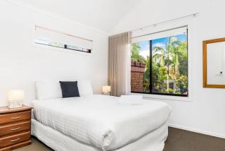 Mango Tree 4 - 63 Shirley Street - 2