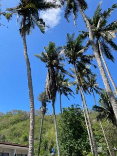 Zahra Homestay - 9