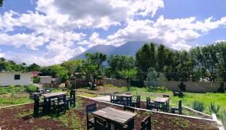 Kiwi Cabin-Nectar Lodging - 3