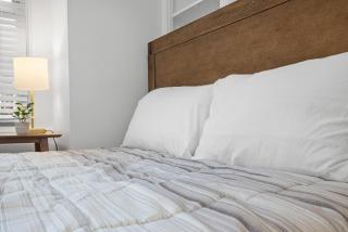 Pittsburgh Shadyside 2E Bright Modern Private Bedroom with Shared Bathroom - 8