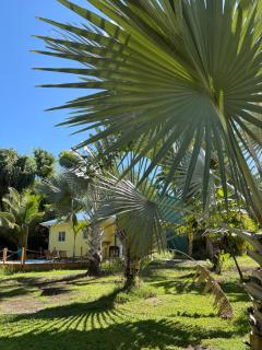 Le Paradis de la Guadeloupe - 3