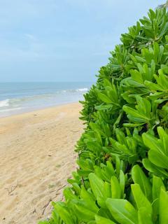 Majestic Rossotto Beach Villa - 5