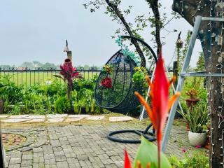 Daisy's Villa TamCoc - 5