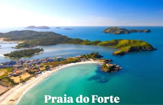 Kitnet Palmeiras - Conforto e Localização Perfeita - 1