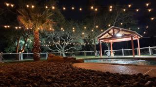 The Blue Oasis - Palm & Pool Retreat - 9