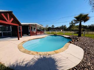 The Blue Oasis - Palm & Pool Retreat - 6