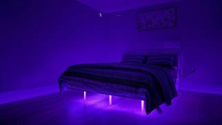 The Blue Oasis - Palm & Pool Retreat - 1