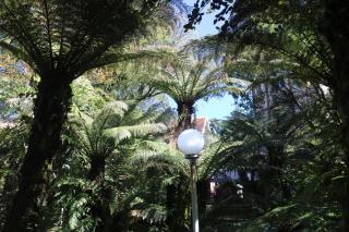 A Cabana Chalé & Pousada - Especializada em Grupos até 40 Pax- - 2