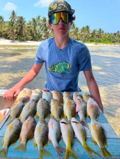 Sky Blue Reef Tours - 4