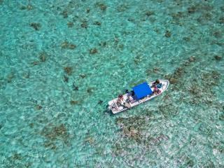 Sky Blue Reef Tours - 1