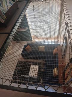 The Loft Of Maboneng - 5