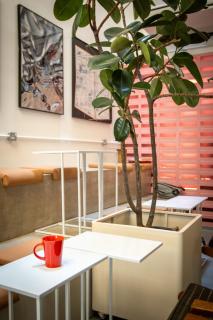 The Brownstone Hostel & Space - 4