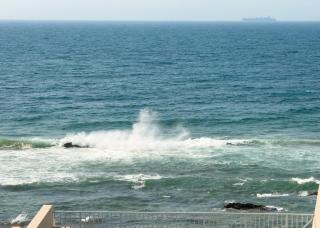 Seaside Apartment in Salt Rock with Dolphin Views - 6