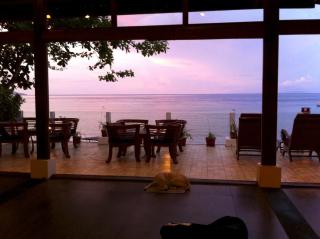Bunaken Cha Cha Nature Resort - 2