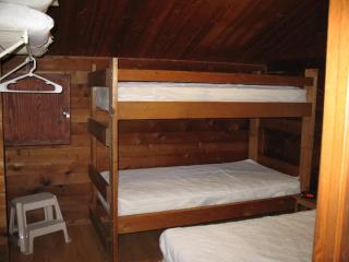 Forest Lake Camping Resort Lakefront Cabin 2 - 4