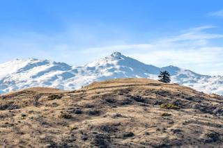 Sunlit Serenity Lakefront Apartment - 6