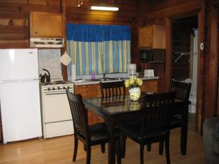 Forest Lake Camping Resort Lakefront Cabin 8 - Freewood Acres - 7