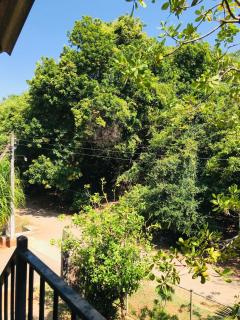 Jungle Park in Priyanna Guest - 1