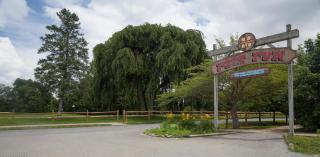 Circle M Camping Resort Loft Park Model - 7