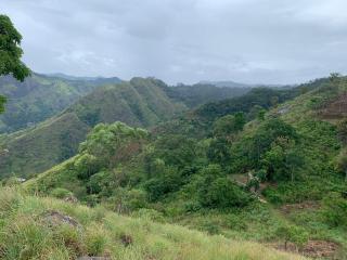 Ella Nest View Homestay - 2