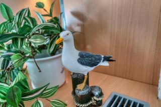 Ferienpark - Haus Q, App 0Q0108 "Kleine Möwe" - 5