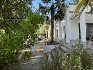 בין הרים וטבע- מקום להרגיש שייכים בו - 6