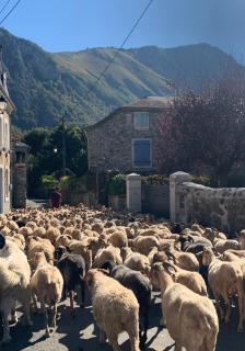 La Suite Unique - Le jardin sur les Pyrénées- vue panoramique montagne -jardin clôturé privé de 100m2-Parking-Linge de lit et serviettes compris- - Bielle - 9