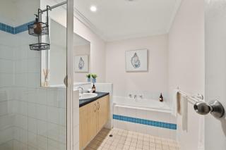 Treeos - Town, The River & Forest at your feet NEW - 5