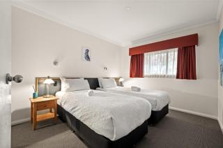 Treeos - Town, The River & Forest at your feet NEW - 1