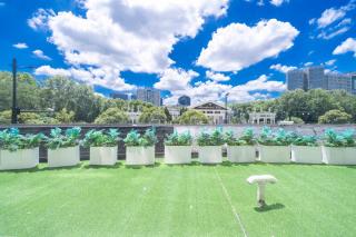 Tyms Family 3BR 2BA APT Crystal Garden - 7