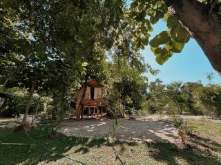 NamKhan Horses Stables - 2