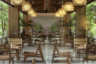 Shishe Spring Designer Homestay - 9