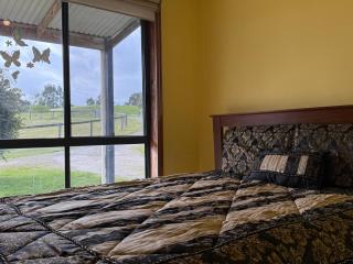 Farm Stay - Countryside Bliss - 4