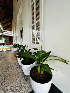 ThunderHill by Casablanca - A Premium Pool Villa - 5