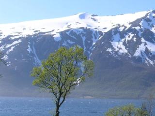 6 person holiday home in Gullesfjord - 9
