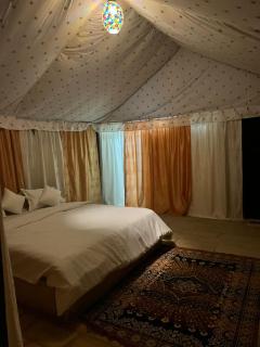 Taj heritage camp& resort - 7
