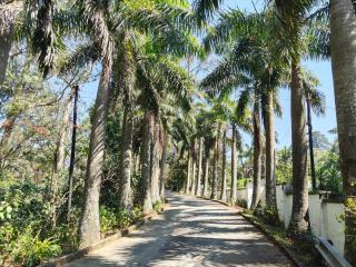 Garden of Eden Cottages and Guest House - 6