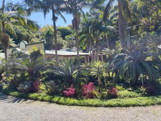 Garden of Eden Cottages and Guest House - 8