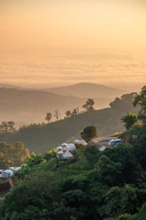 ม่อน ซากุระ ม่อนแจ่ม - 5