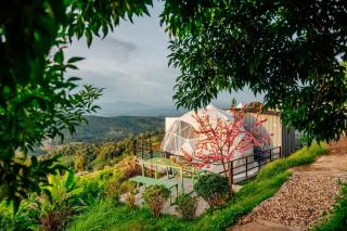 ม่อน ซากุระ ม่อนแจ่ม - Mon Jam - 8