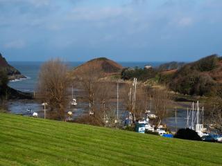 Watermouth Castle, Harbour Apartment - 9