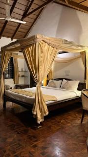 Hotel green land - 0