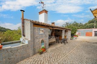 Horta Do Zé Miguel - 1