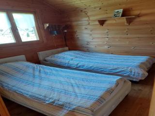 Nice Chalet with sauna in Vosges - 1