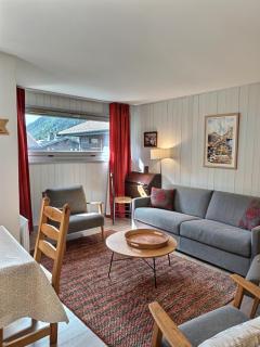 Charmant T3 Chamonix, proche Grands Montets, parking & ski locker - 7