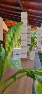 Serene Villa - 1