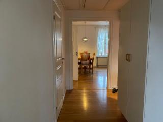 Entire 4 rooms Cozy apartment in central Älmhult - 9