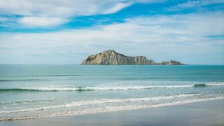 The Whyte House - Waimarama Beachfront - 6