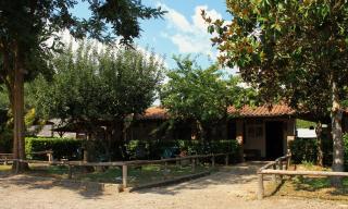 La dimora degli Etruschi - 8